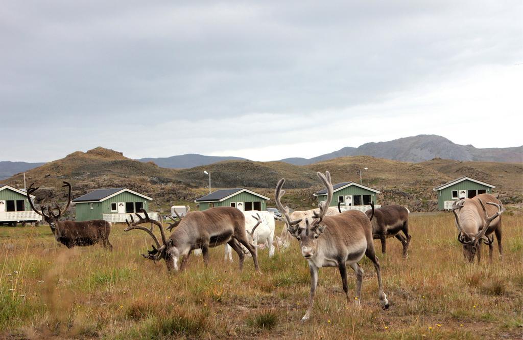 Nordkapp Camping Honningsvag Room photo