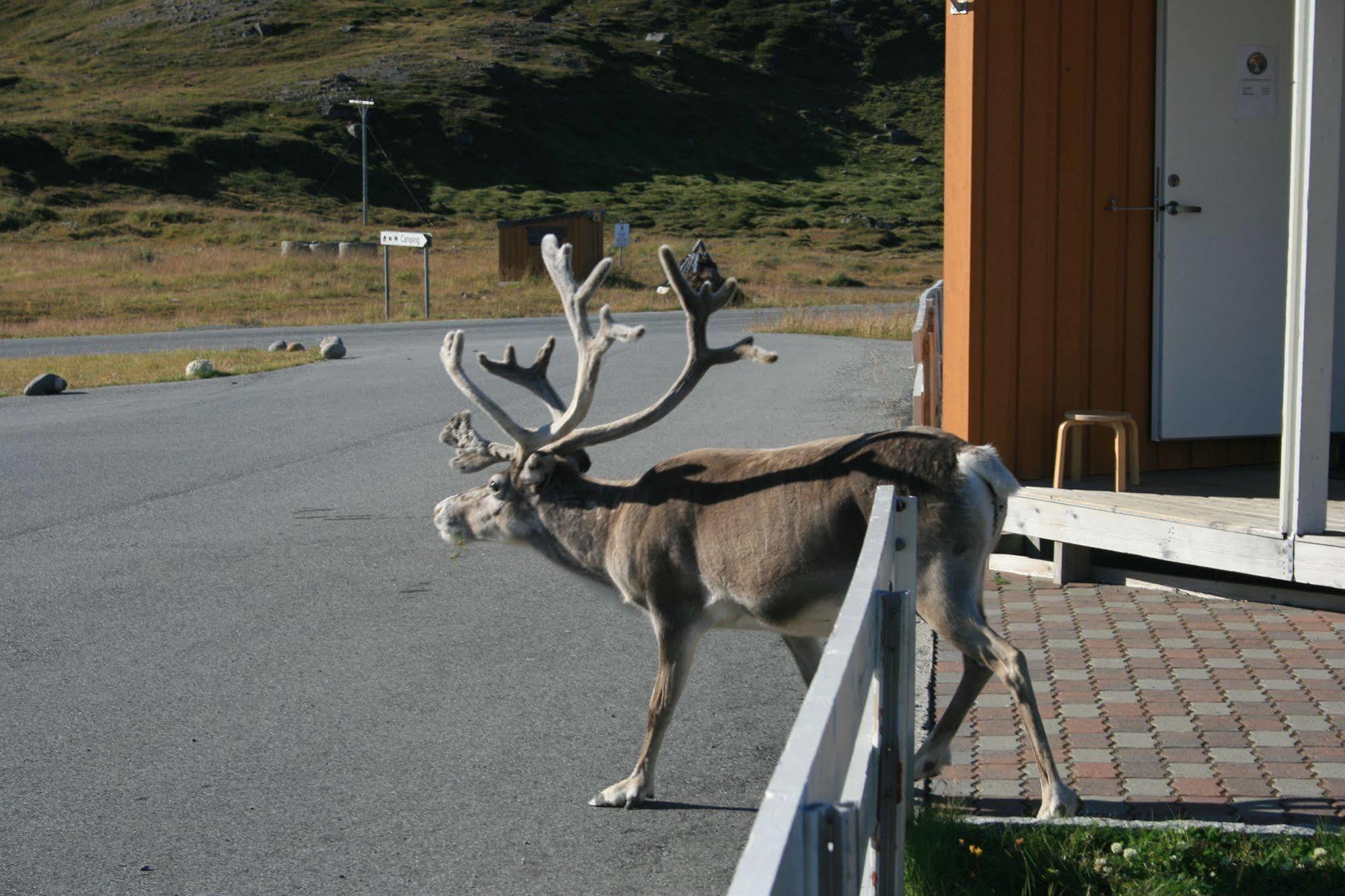 Nordkapp Camping Honningsvag Exterior photo